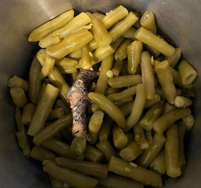 My Cousin Found A Piece Of A Snake In Her Can Of Green Beans