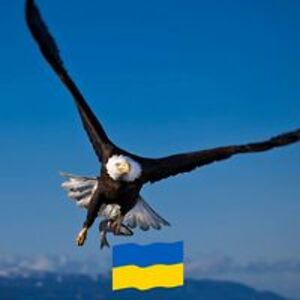 facebook_skn1o avatar