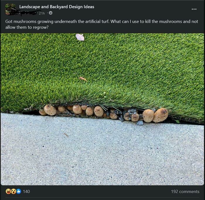 ...to Have A Lifeless "Lawn"