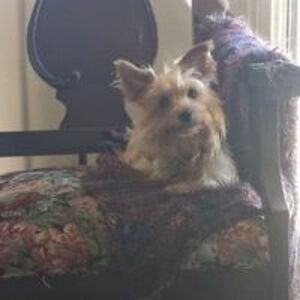 hollywayne5852 avatar