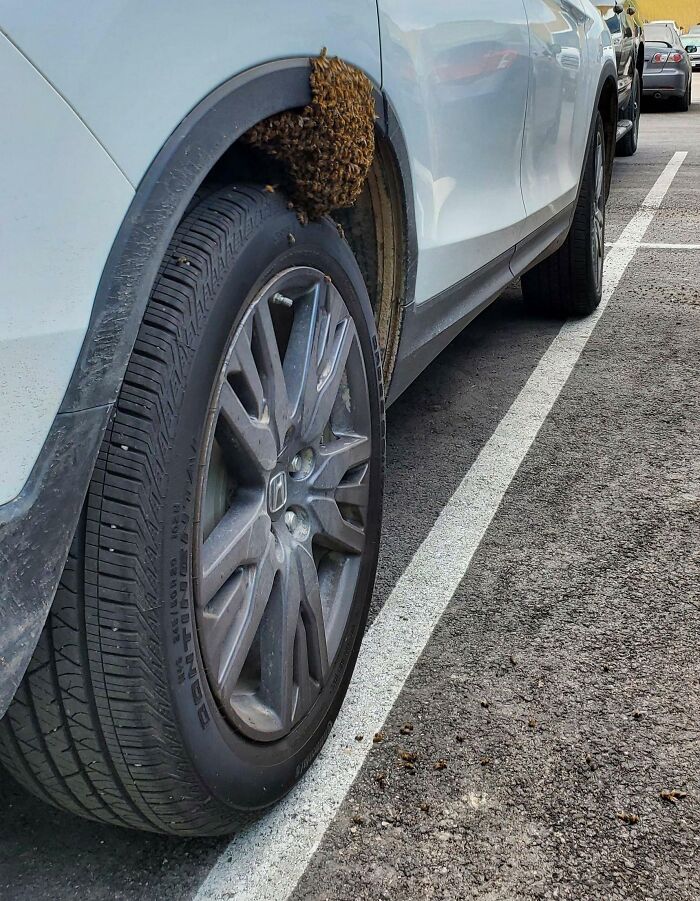 Found My Car Like This When I Took A Break At Work