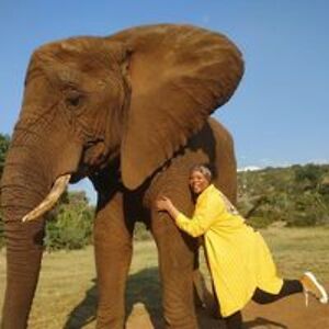 taylormoriahfaye13 avatar