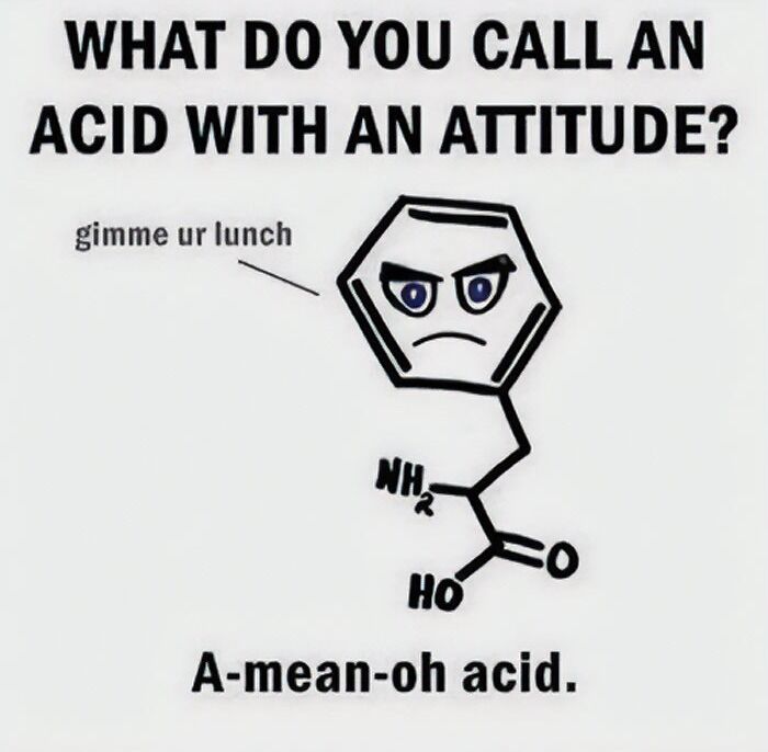 Chemistry meme of an acid with attitude saying "gimme ur lunch" with caption "A-mean-oh acid."