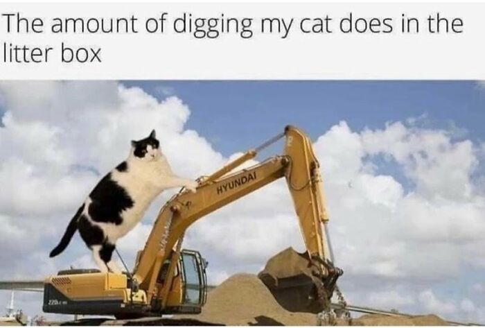 I Think We All Get This. All Of Us