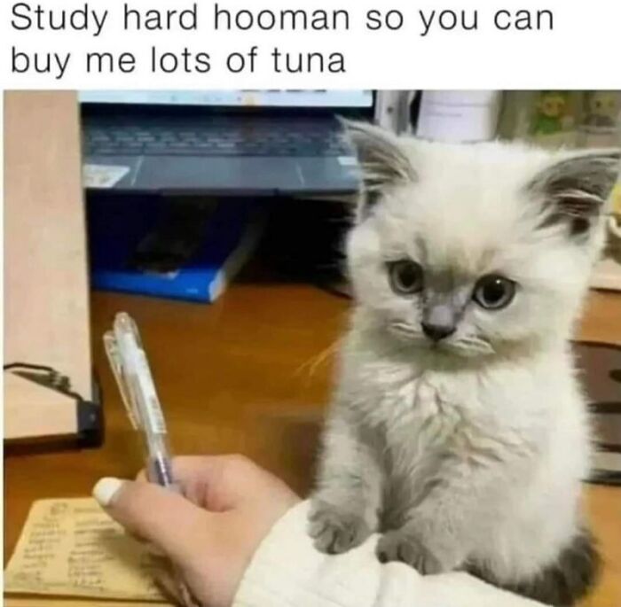 Yep. I Needs Tunas To Survive