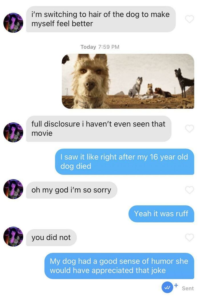 My Dog Would Have Liked This Pun