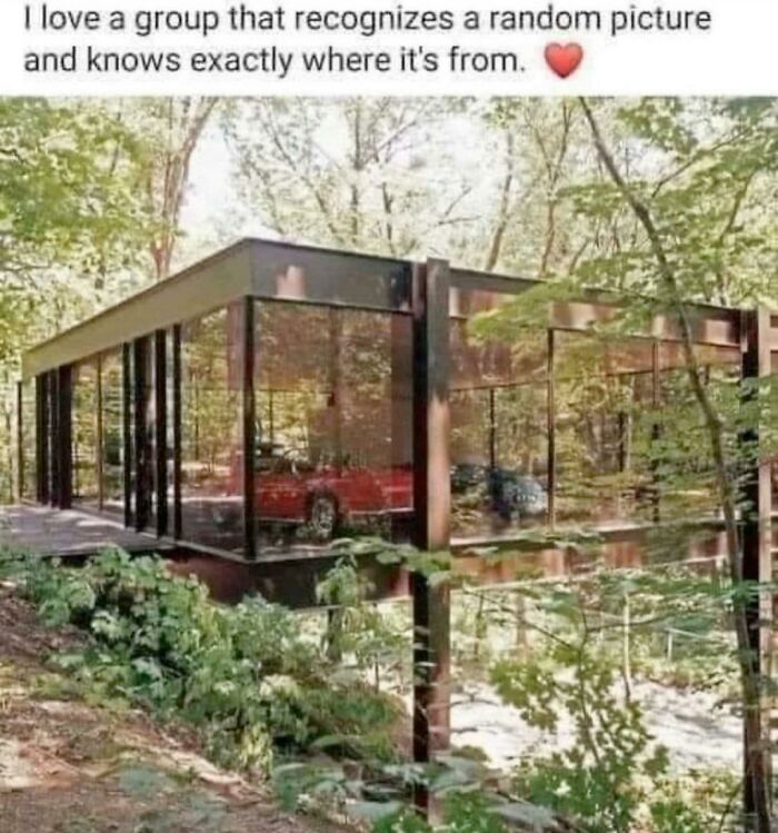 Glass house in a forest with a red car inside, humorously symbolizing people getting old faster than expected.