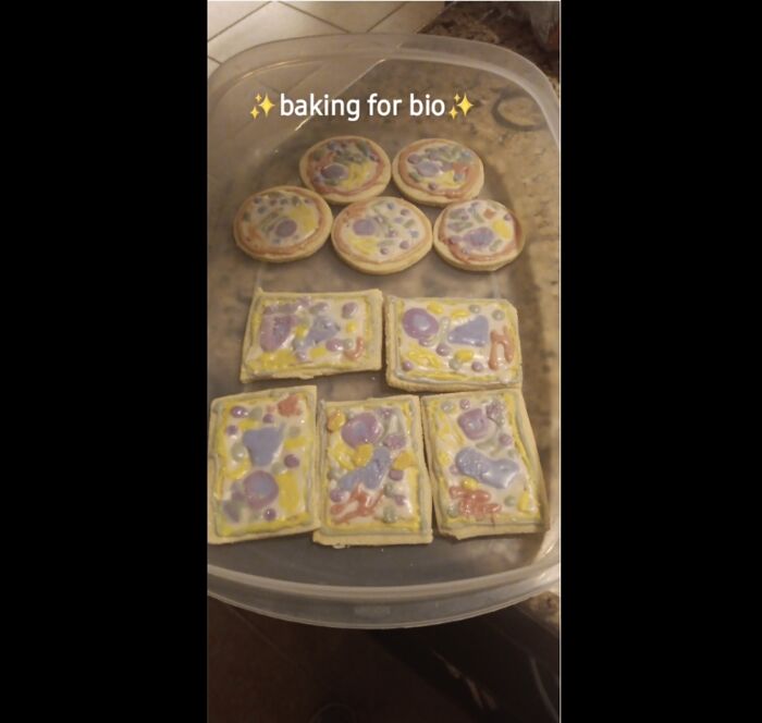 We Had To Make A Cell Model, And I Decorated Cookies To Be Plant And Animal Cells. I Have Other Cool Projects That I Don’t Have Pictures Of