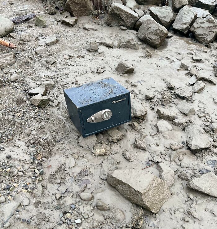 So I Found This On The Beach At A Low Tide. Feels Like I Should Be Doing Something