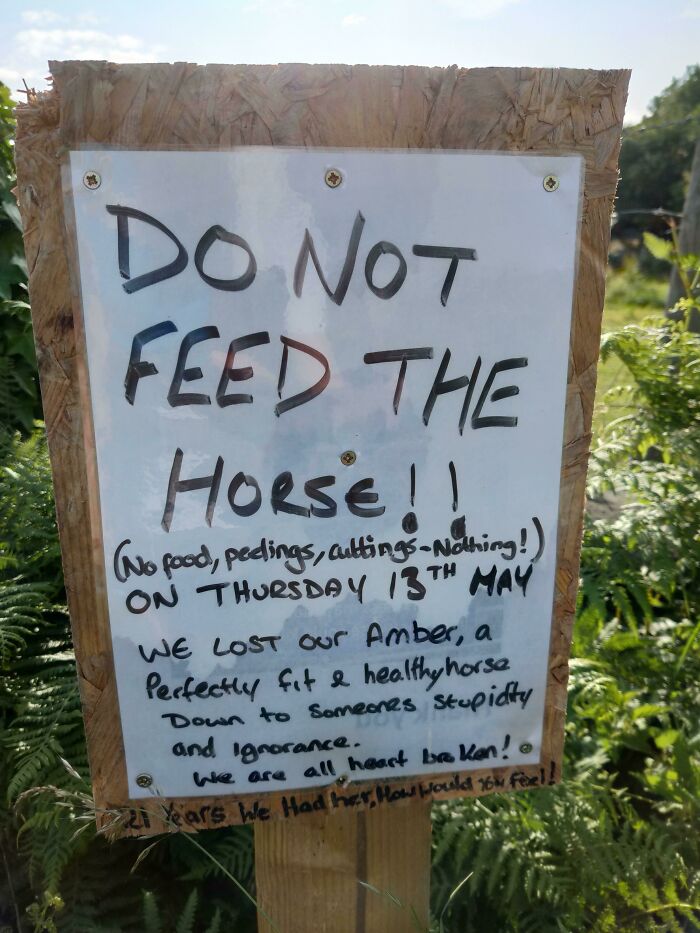 People Aren't That Bad..... Argument And Exhibit A, Right Here