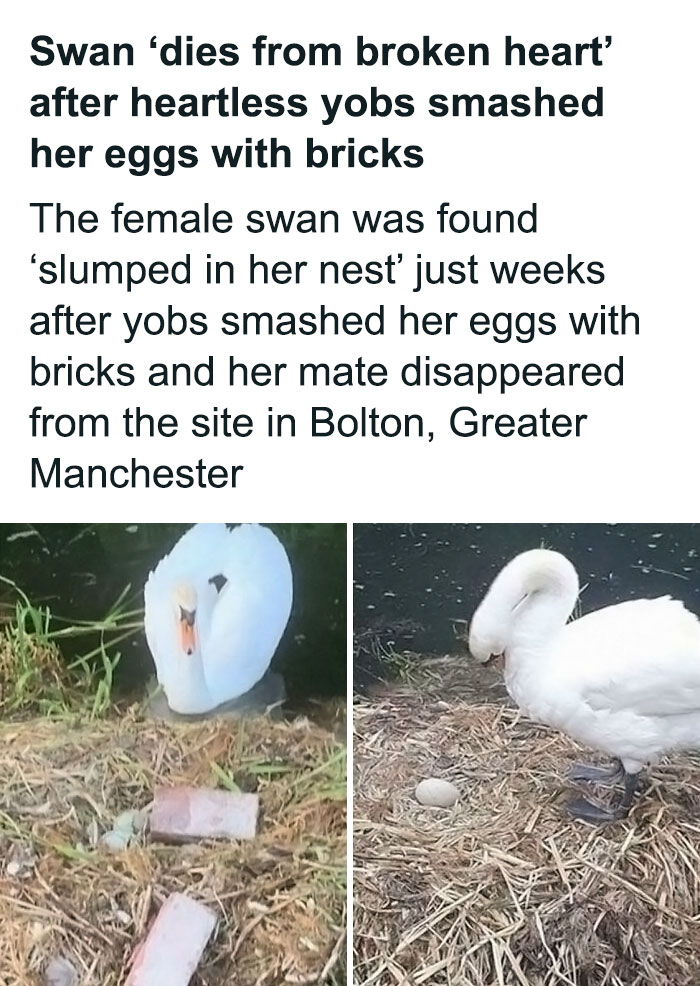 This Just Makes Me So Sad