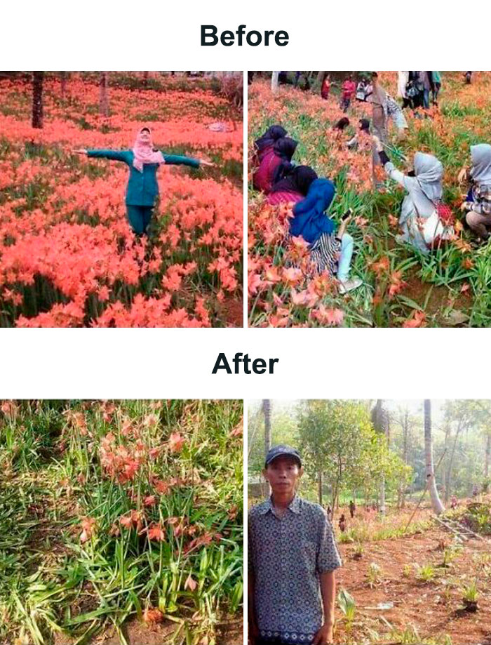 His Beautiful Flower Field Got Trampled By Tourists