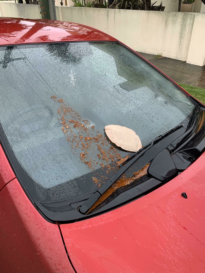 Walked To My Car This Morning To This… What Is Wrong With Ppl 🤮