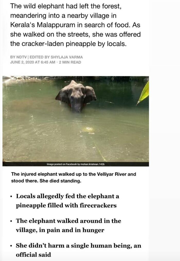 Cruelty At Its Peek !