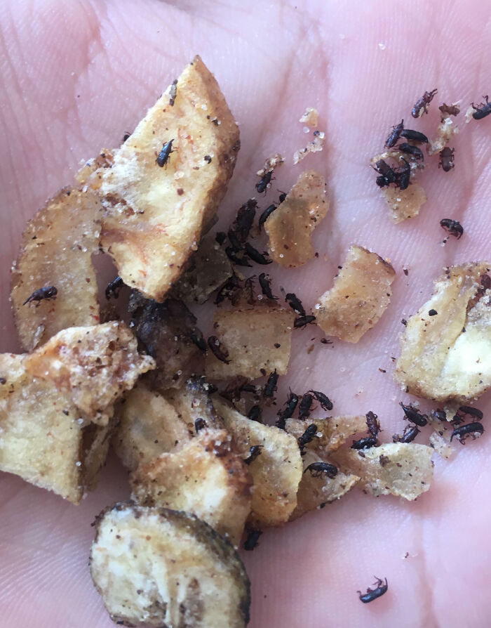 After Eating Half Of My Banana Chips I Found This