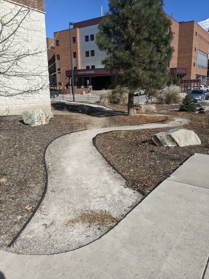 My University Gave Into Our Desire Path- In A Way That Created Another, Smaller Desire Path