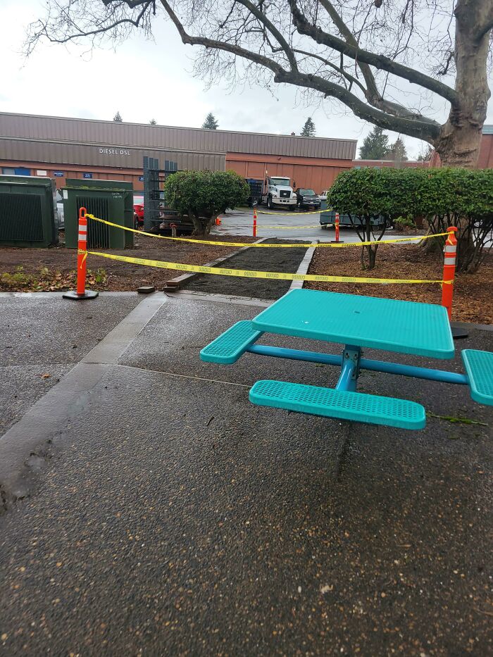 Three Years Ago, I Posted About A Desire Path On My Campus. We Are Successful!