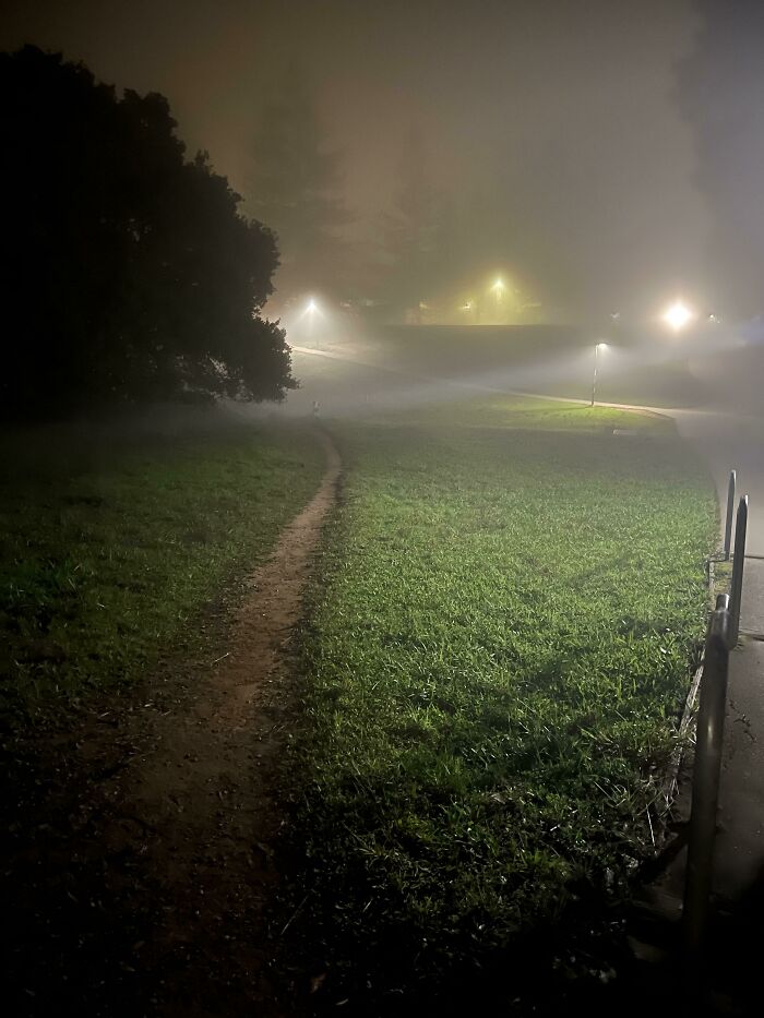 Long, Foggy, More Direct Desire Path At Ucsc