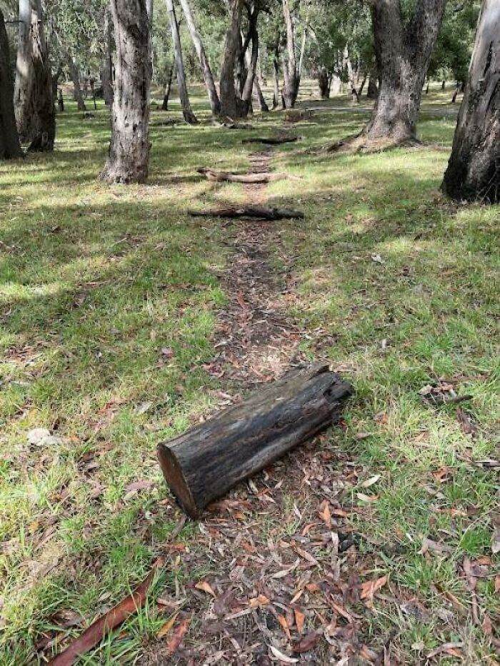 A Low-Tech Approach To Defeating A Desire Path