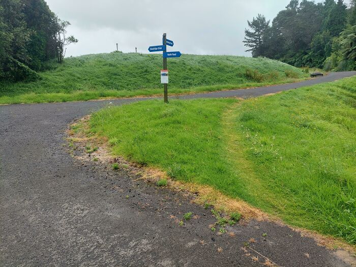 I See One In The Making