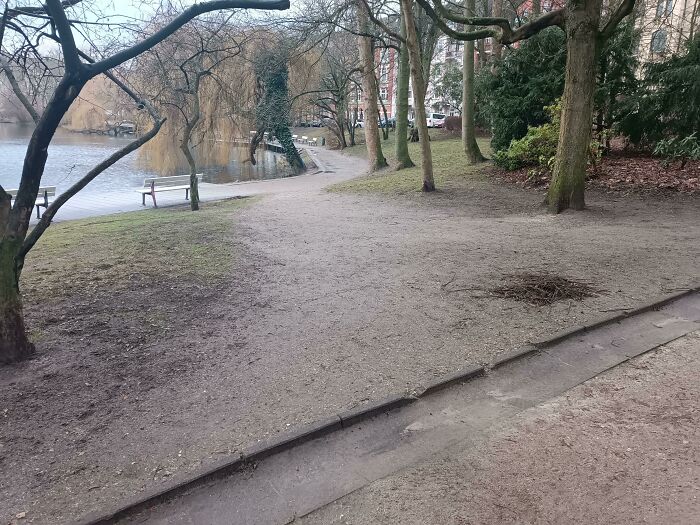 Desirepath? Gimme That Desirestreet!