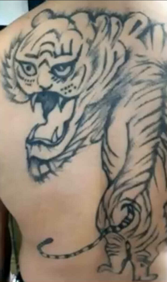 Tiger tattoo on a person's back with distorted facial features and body proportions. Worst tattoos example.