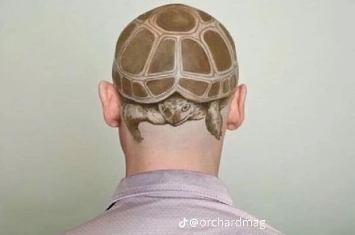 Unique tattoo of a turtle shell on the back of a person's head.