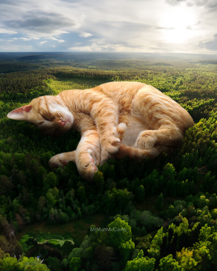 Artist Creates A Parallel World Where There Are Giant Cats Everywhere — And Everyone Thinks It's Normal (New Pics)