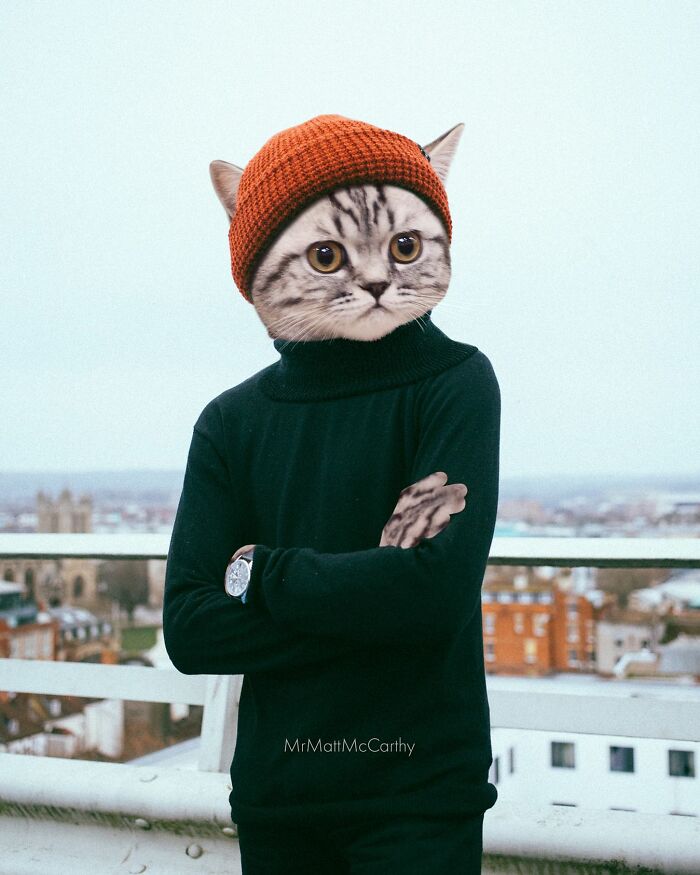 Artist Creates A Parallel World Where There Are Giant Cats Everywhere — And Everyone Thinks It's Normal (New Pics)