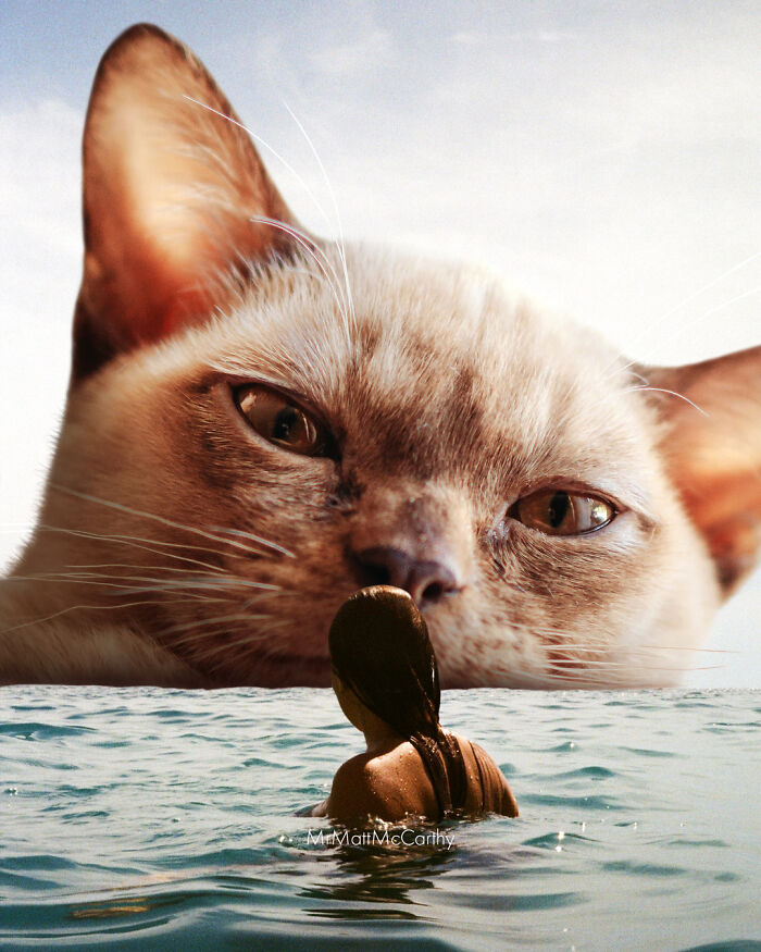 Artist Creates A Parallel World Where There Are Giant Cats Everywhere — And Everyone Thinks It's Normal (New Pics)