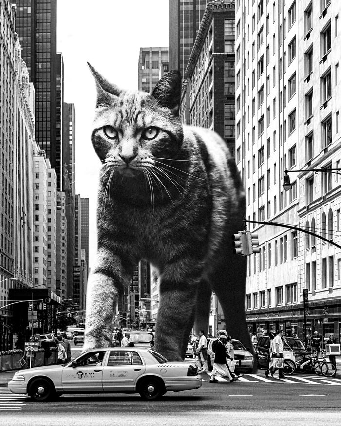 Artist Creates A Parallel World Where There Are Giant Cats Everywhere — And Everyone Thinks It's Normal (New Pics)