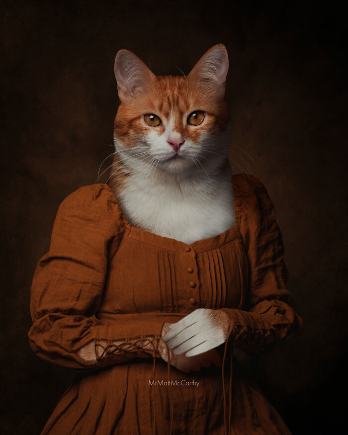 Artist Creates A Parallel World Where There Are Giant Cats Everywhere — And Everyone Thinks It's Normal (New Pics)