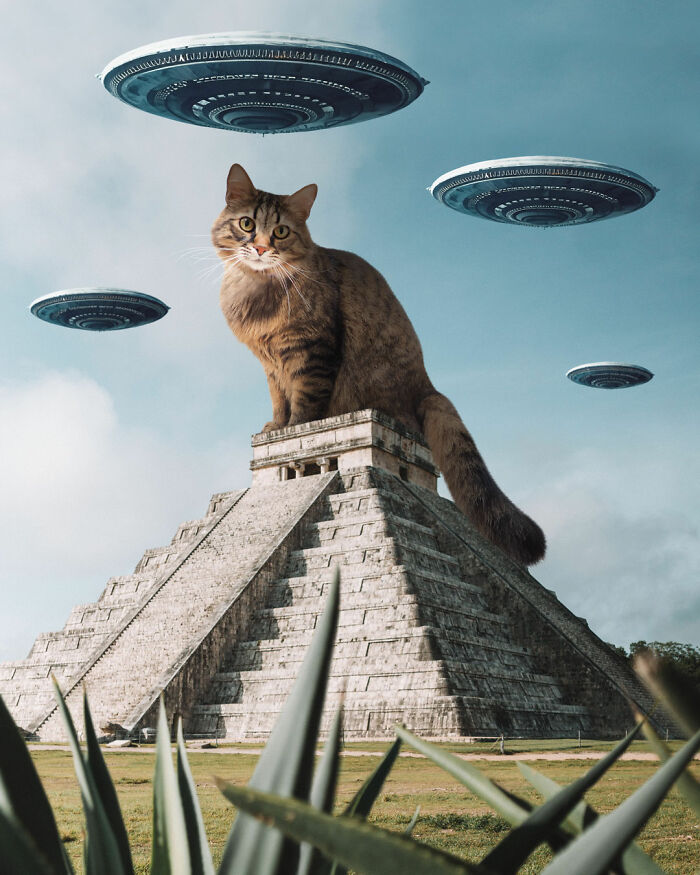Artist Creates A Parallel World Where There Are Giant Cats Everywhere — And Everyone Thinks It's Normal (New Pics)