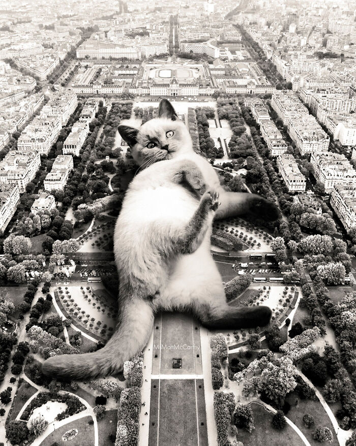 Artist Creates A Parallel World Where There Are Giant Cats Everywhere — And Everyone Thinks It's Normal (New Pics)