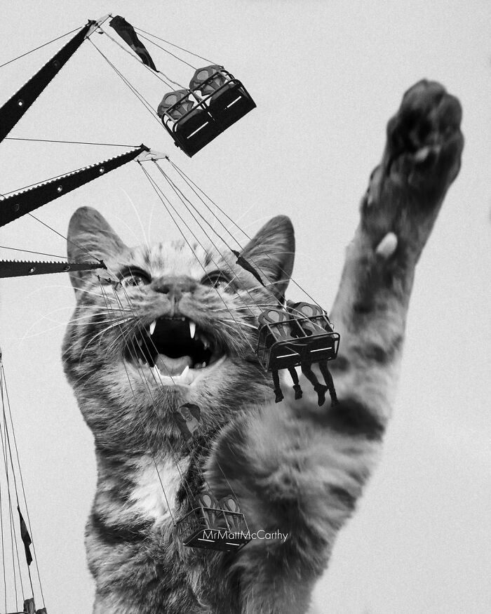 Artist Creates A Parallel World Where There Are Giant Cats Everywhere — And Everyone Thinks It's Normal (New Pics)