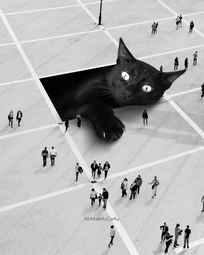 Artist Creates A Parallel World Where There Are Giant Cats Everywhere — And Everyone Thinks It's Normal (New Pics)