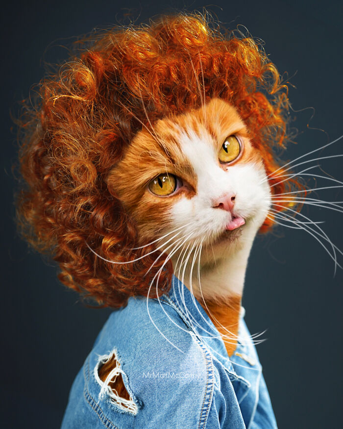 Artist Creates A Parallel World Where There Are Giant Cats Everywhere — And Everyone Thinks It's Normal (New Pics)