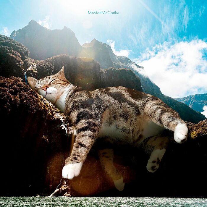 Artist Creates A Parallel World Where There Are Giant Cats Everywhere — And Everyone Thinks It's Normal (New Pics)