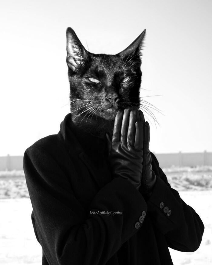 Artist Creates A Parallel World Where There Are Giant Cats Everywhere — And Everyone Thinks It's Normal (New Pics)