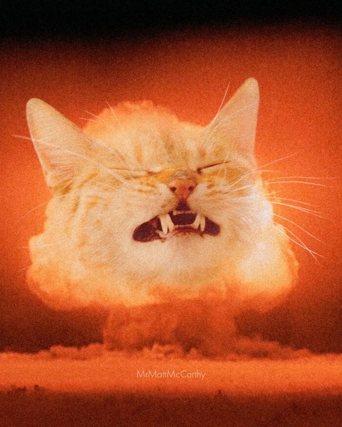 Artist Creates A Parallel World Where There Are Giant Cats Everywhere — And Everyone Thinks It's Normal (New Pics)