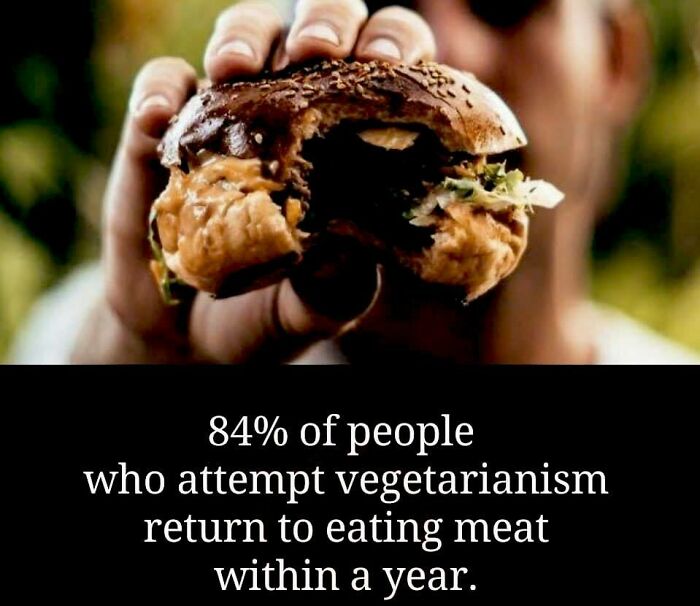 Close-up of a hand holding a partially eaten sandwich illustrating unusual facts about vegetarianism from the Unusual Facts FB page.
