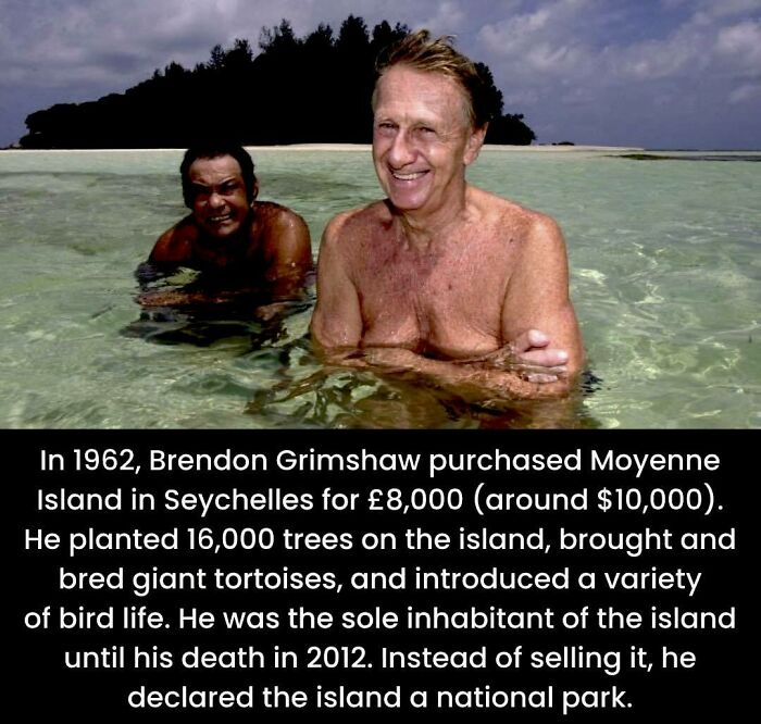 Two men standing in clear ocean water near a tropical island shown with unusual facts from the Facebook page.