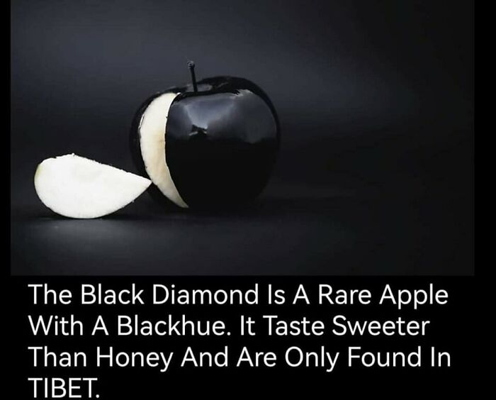 Black Diamond rare apple with black hue, sweeter than honey, only found in Tibet, unusual facts raising eyebrows.