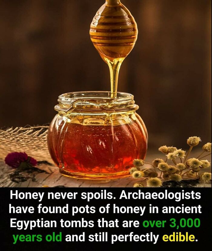 Jar of honey with honey dripping from a wooden dipper illustrating unusual facts about honey’s longevity and edibility.