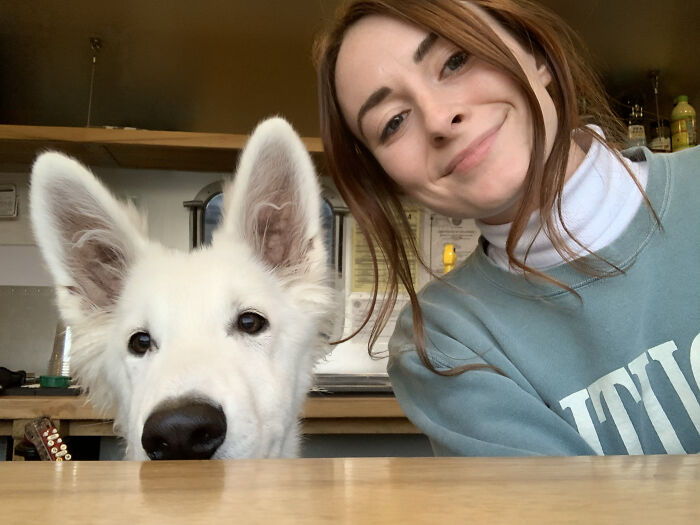 A woman smiling next to a white dog with enormous ears peeking over a wooden table indoors.