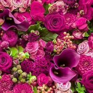 deborah_dabivs avatar