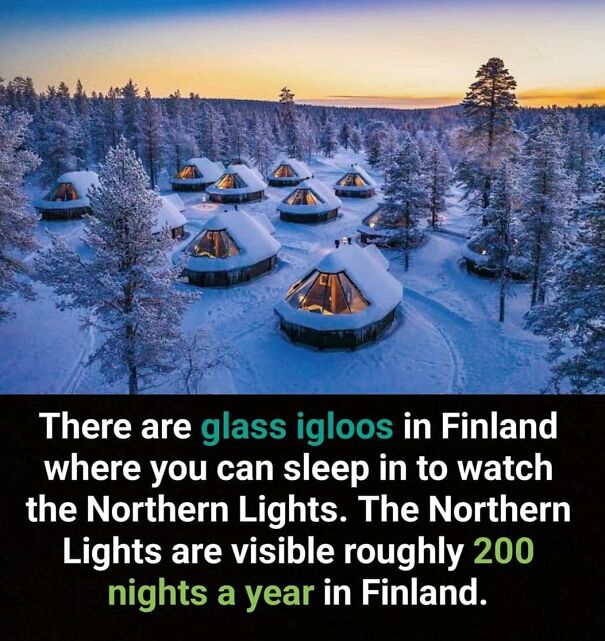 Glass igloos in Finland offer unique views of the Northern Lights visible about 200 nights a year in snowy landscapes.
