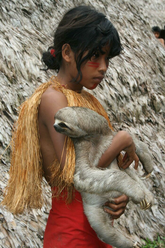 Amazonian Girl And Her Pet Sloth