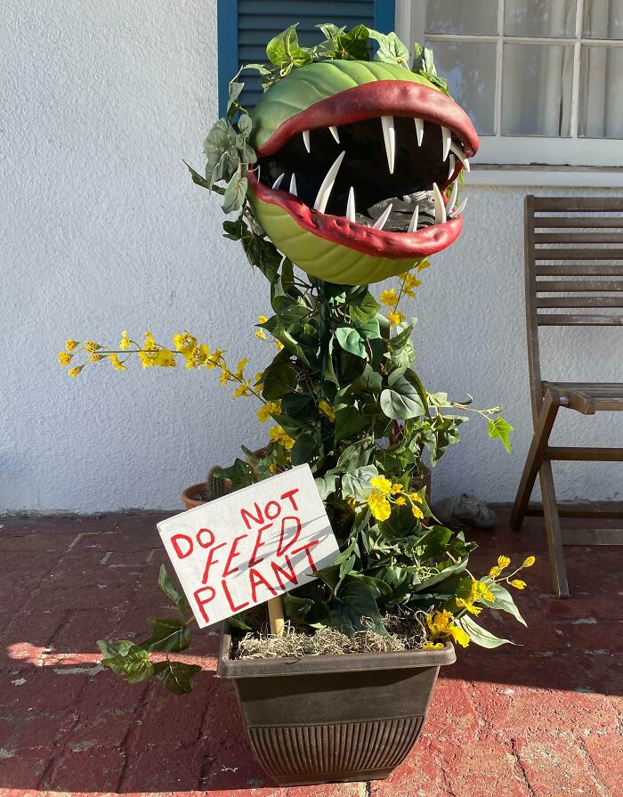 My Homemade Plant Monster