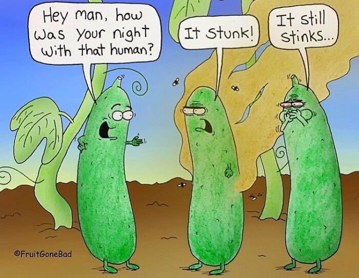 41 New Times NY Cartoonist Captures Dark Humor In One-Panel Food Comics